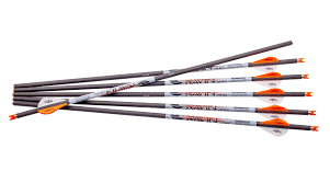 RAVIN .001 PREMIUM ARROWS-Ontario Archery Supply