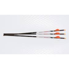 RAVIN .001 XK5 LIGHTED ARROWS-Ontario Archery Supply