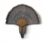 Hunters Specialties Turkey Tail and Beard Mounting Kit